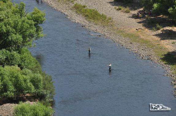Pescando trutas com a técnica de pescaria de mosca em rio de Junín de Los Andes, no sul da Argentina